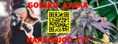 индика Чебоксары